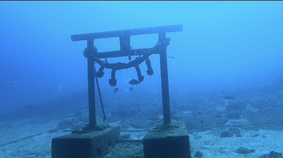 神社が映える青さ！！