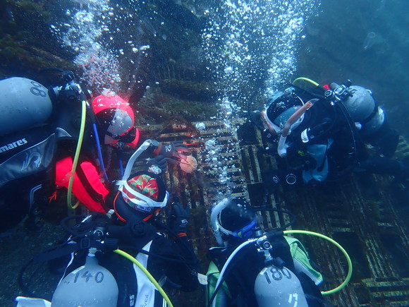 みんなで生き物観察♪