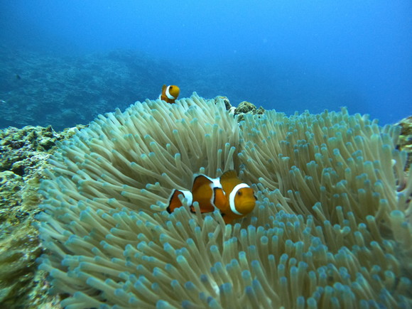 映えてました！