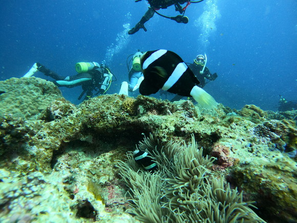 海が綺麗すぎる！
